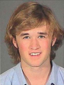 Haley Joel Osment.jpg
